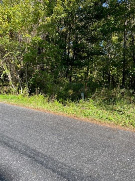 For Sale: $405,000 (20.00 acres)