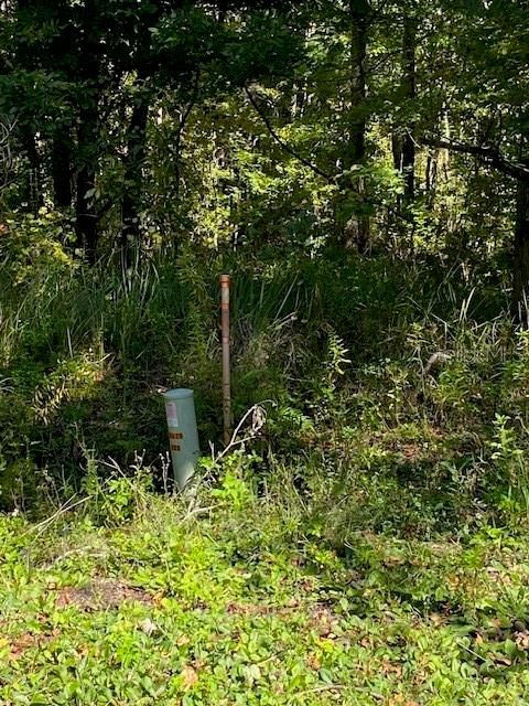 For Sale: $405,000 (20.00 acres)