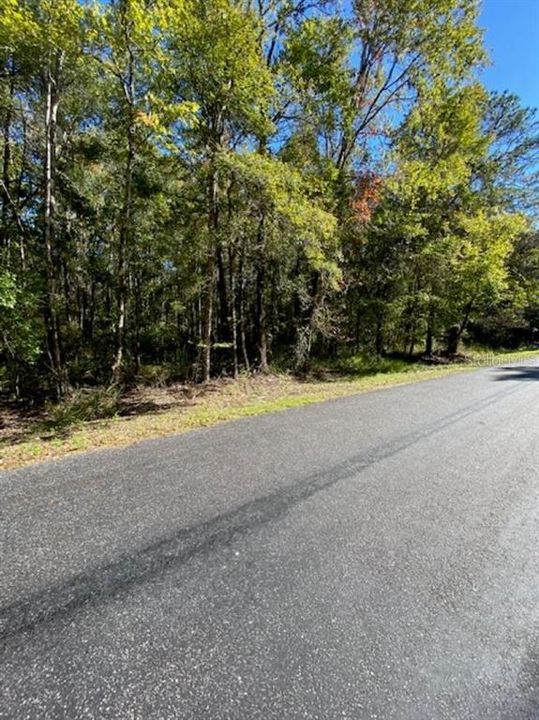 For Sale: $405,000 (20.00 acres)