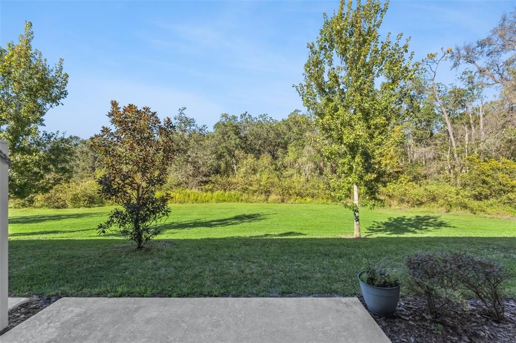 На продажу: $349,900 (3 спален, 2 ванн, 1359 Квадратных фут)