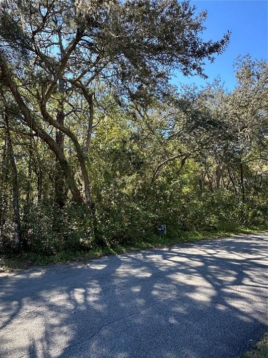 En Venta: $15,000 (0.22 acres)