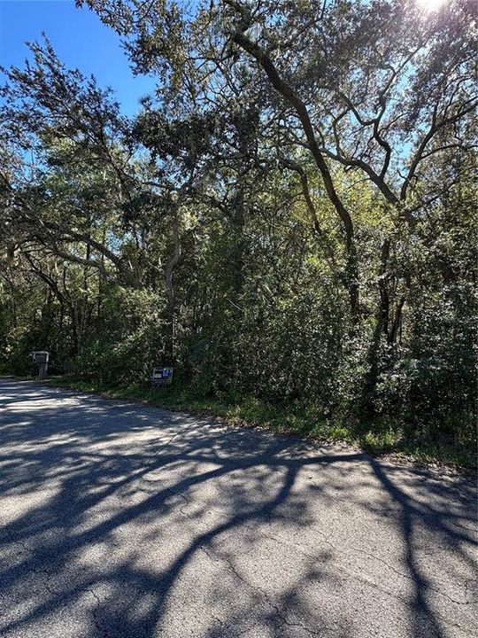 En Venta: $15,000 (0.22 acres)