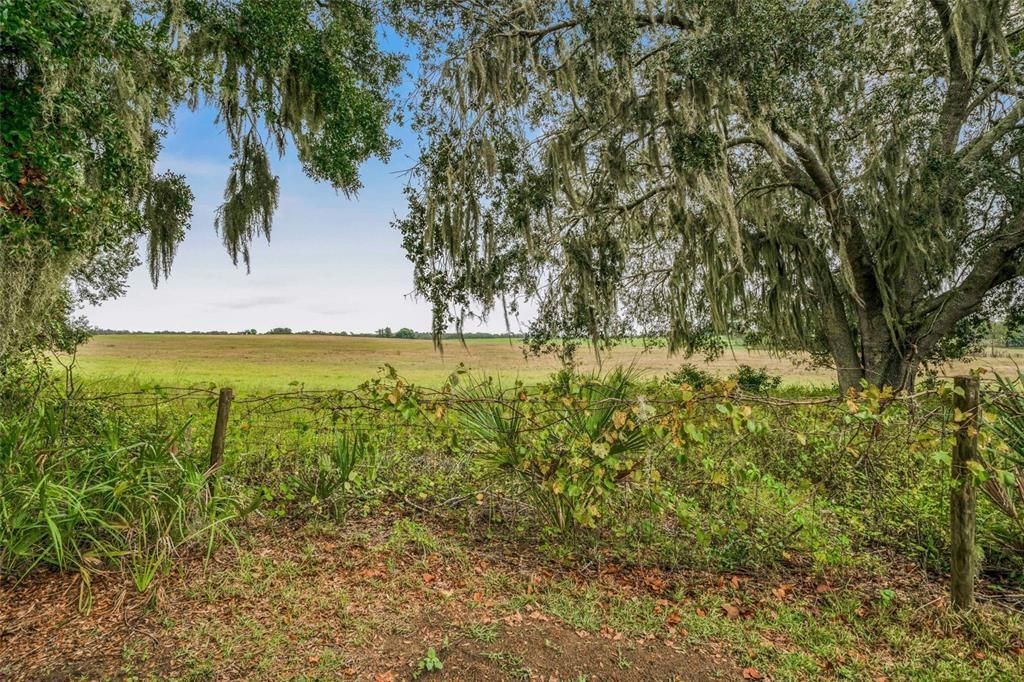 For Sale: $319,000 (3 beds, 2 baths, 1762 Square Feet)