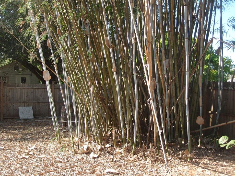 待售: $284,500 (3 贝兹, 2 浴室, 1236 平方英尺)