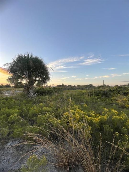 Recently Sold: $32,000 (1.25 acres)