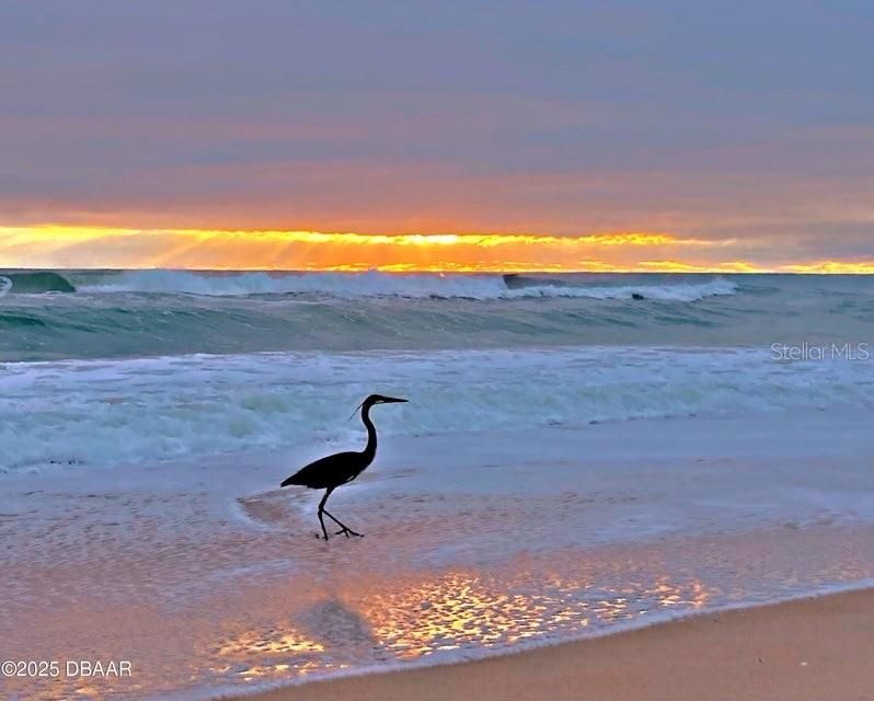 For Sale: $474,700 (3 beds, 2 baths, 1740 Square Feet)