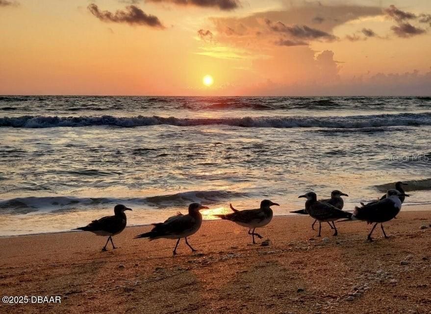 For Sale: $474,700 (3 beds, 2 baths, 1740 Square Feet)