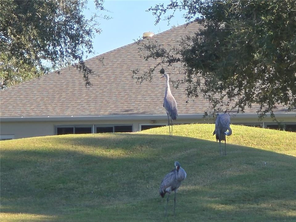 Active With Contract: $320,000 (2 beds, 2 baths, 2399 Square Feet)