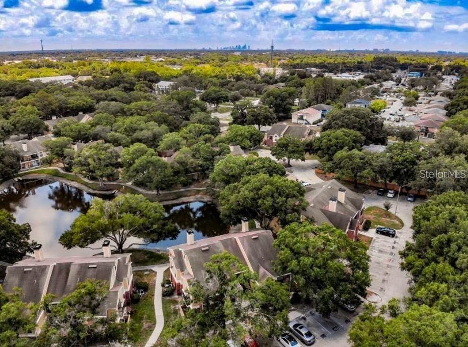 合同活跃: $1,300 (1 贝兹, 1 浴室, 822 平方英尺)