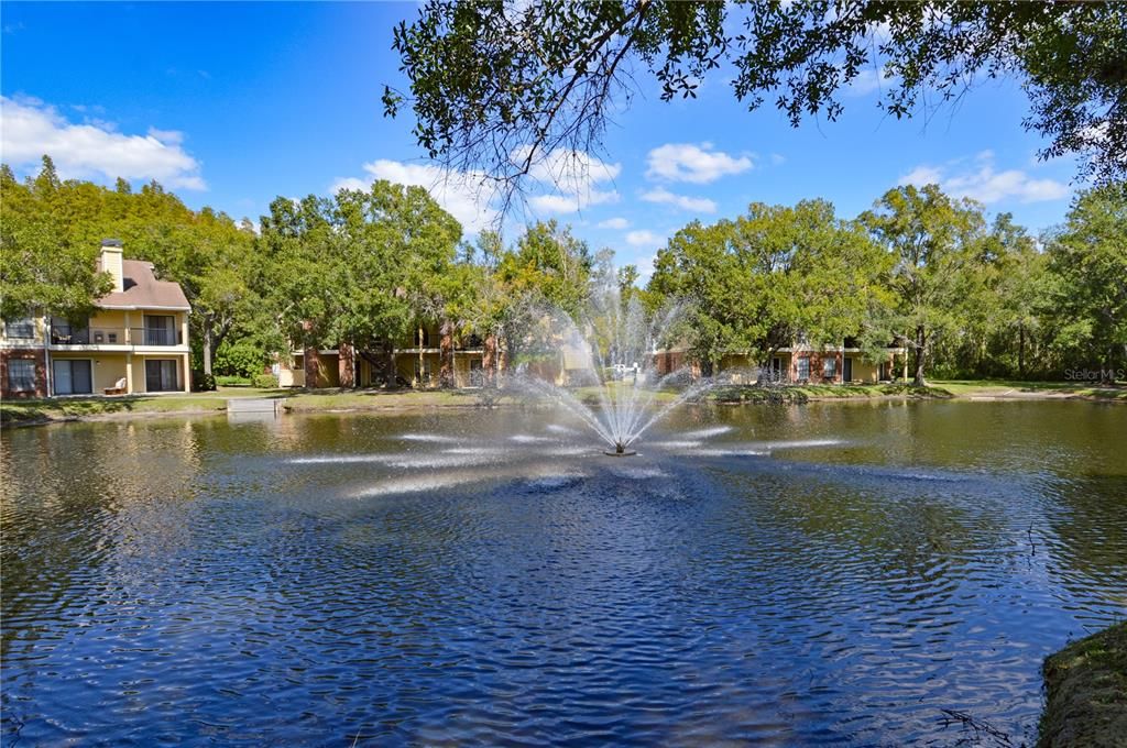 合同活跃: $1,300 (1 贝兹, 1 浴室, 822 平方英尺)