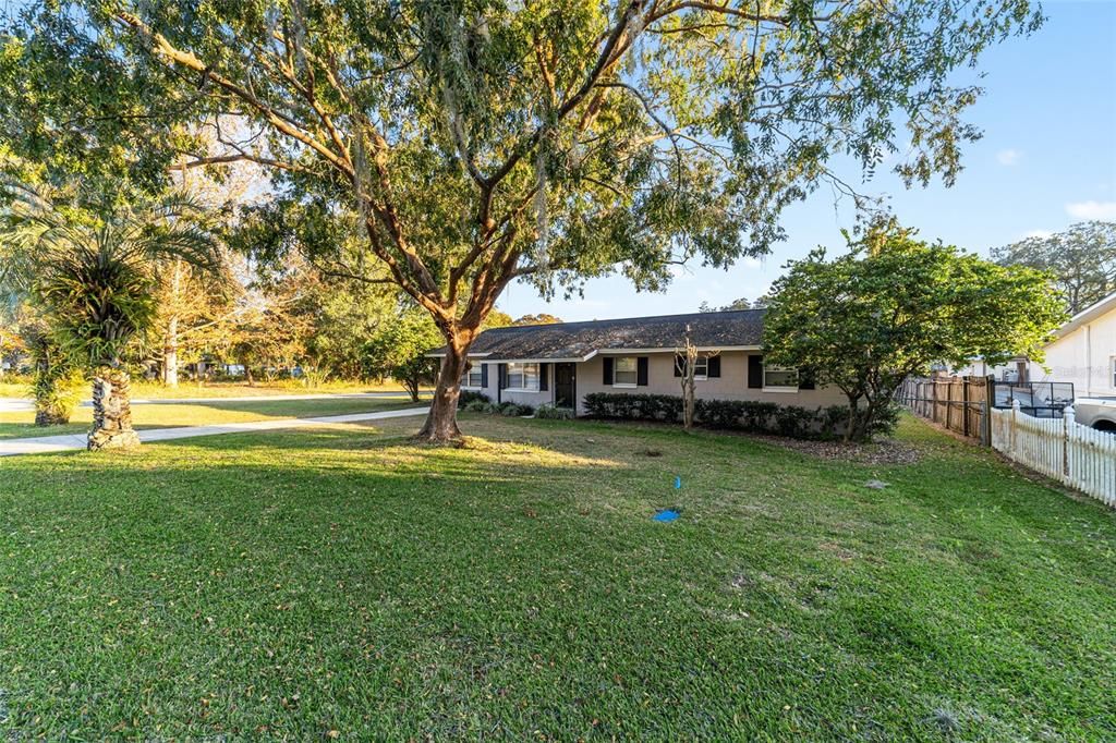 出租: $1,850 (3 贝兹, 2 浴室, 1384 平方英尺)