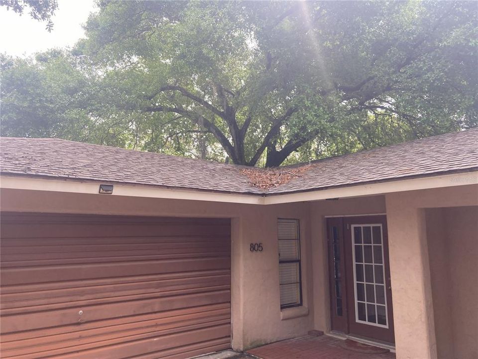 出租: $2,800 (3 贝兹, 2 浴室, 1710 平方英尺)