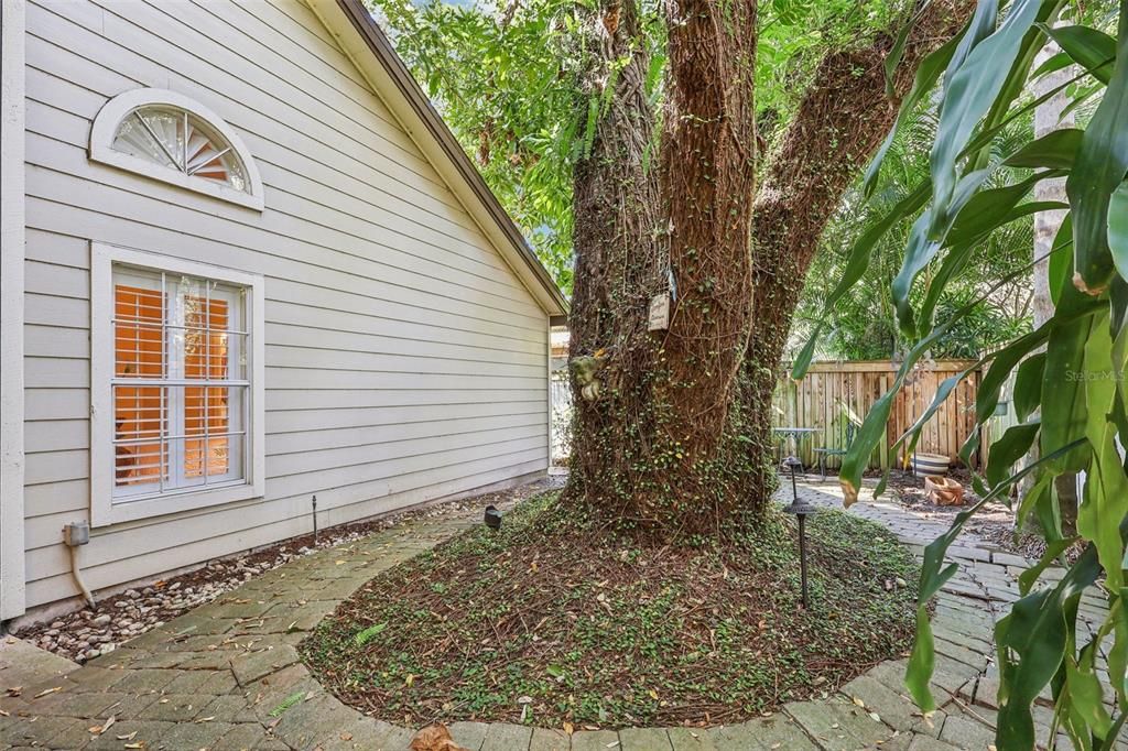 Active With Contract: $384,900 (3 beds, 2 baths, 2036 Square Feet)