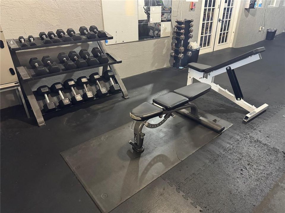 出租: $1,300 (1 贝兹, 1 浴室, 643 平方英尺)