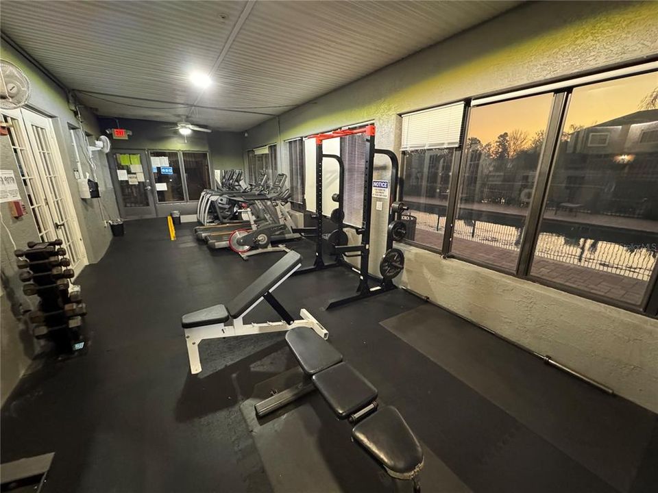 出租: $1,300 (1 贝兹, 1 浴室, 643 平方英尺)