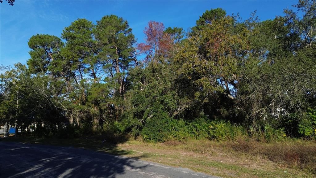 For Sale: $95,000 (0.22 acres)