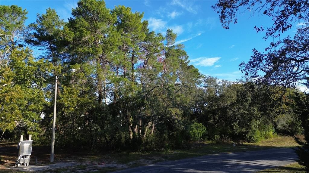 For Sale: $95,000 (0.22 acres)