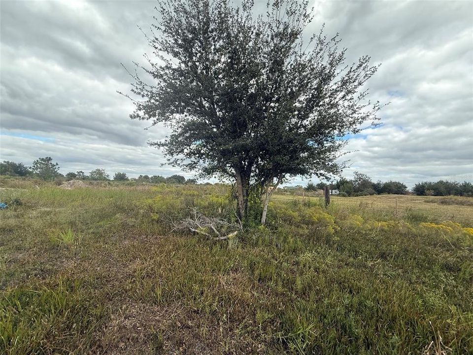 For Sale: $54,900 (1.25 acres)