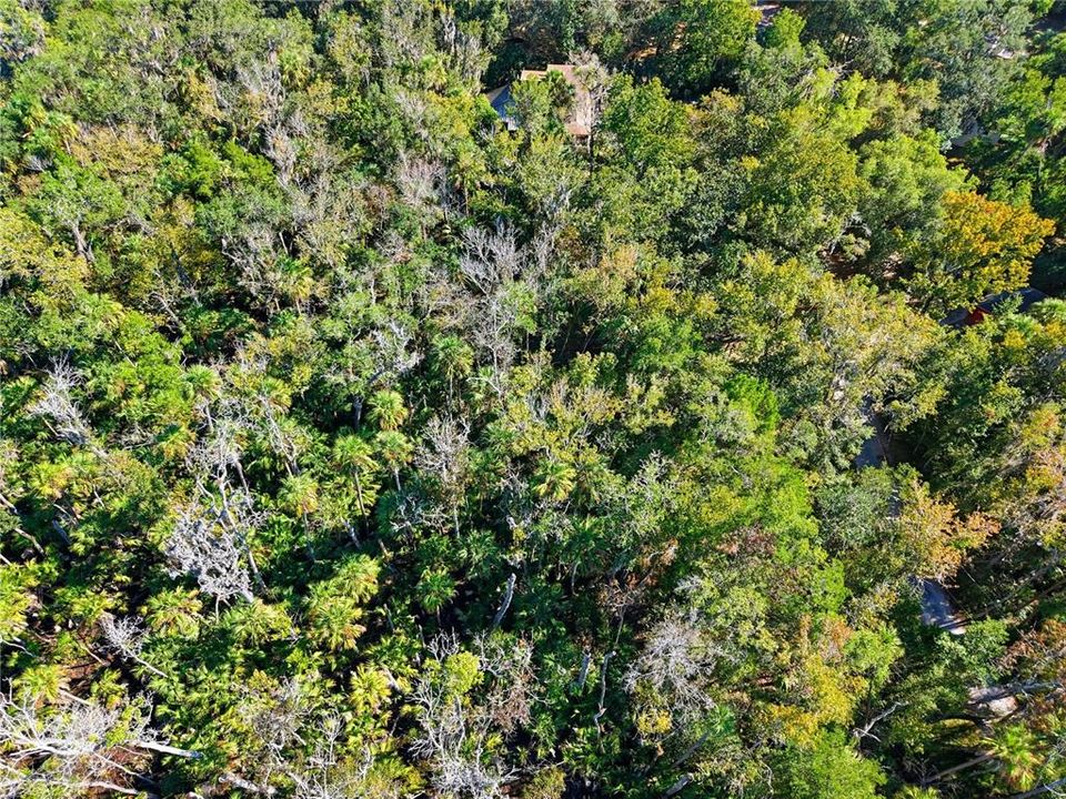 待售: $10,000 (0.33 acres)