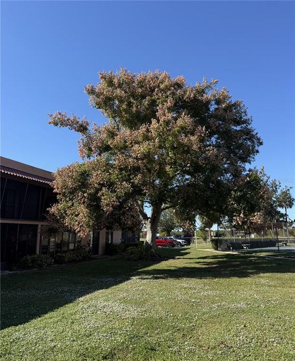 For Sale: $115,000 (2 beds, 2 baths, 1120 Square Feet)