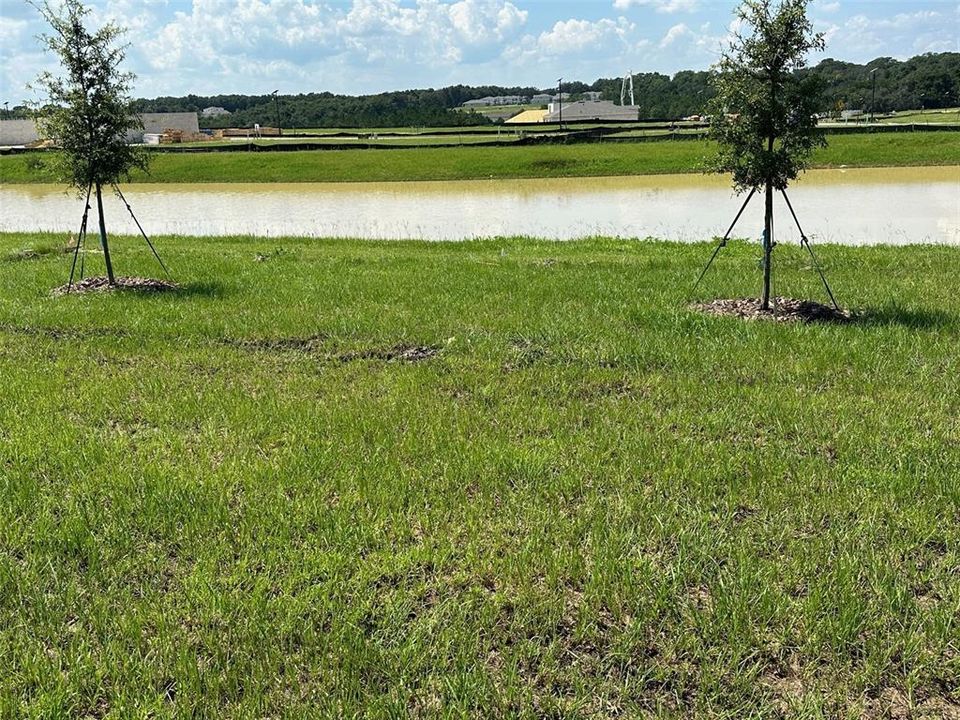 For Rent: $2,145 (4 beds, 2 baths, 1605 Square Feet)