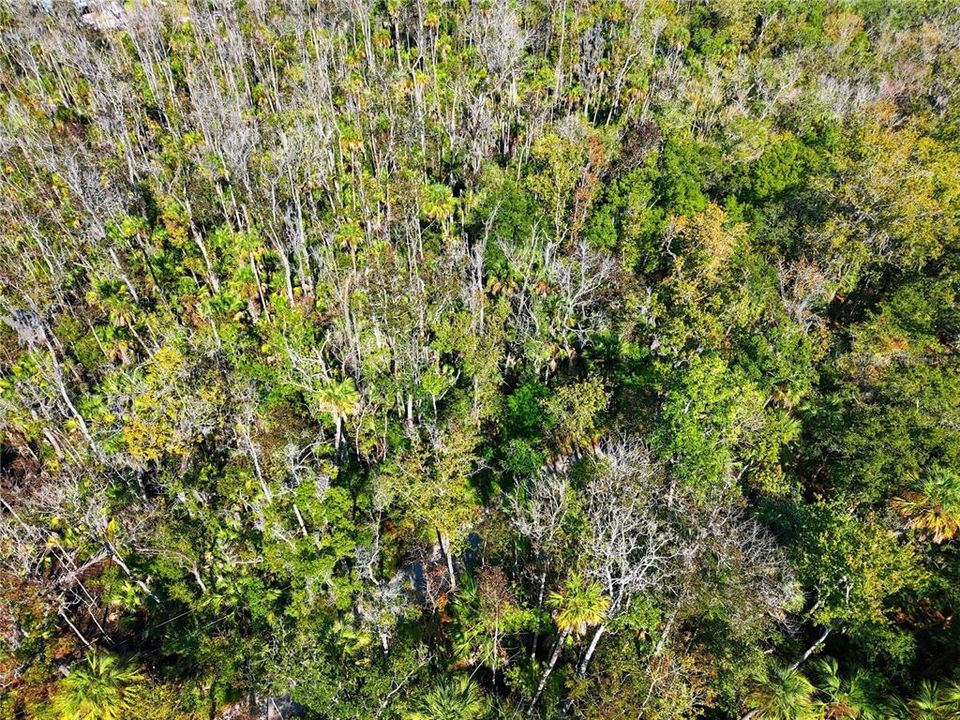 For Sale: $10,000 (0.37 acres)