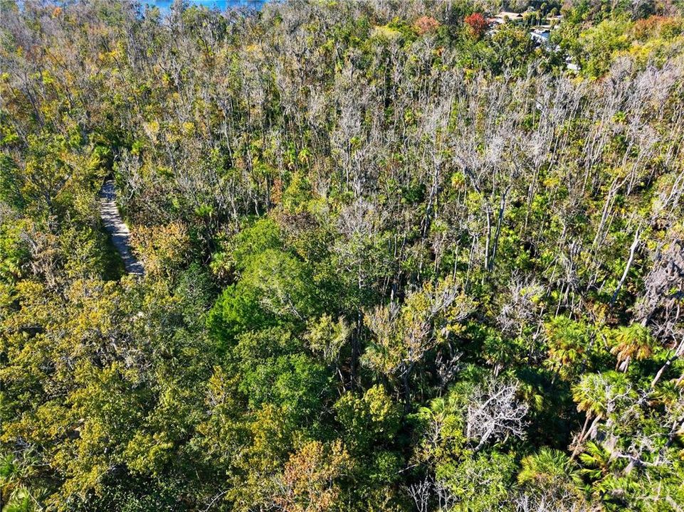 For Sale: $10,000 (0.37 acres)