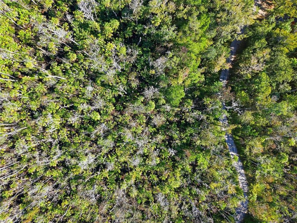 For Sale: $10,000 (0.37 acres)