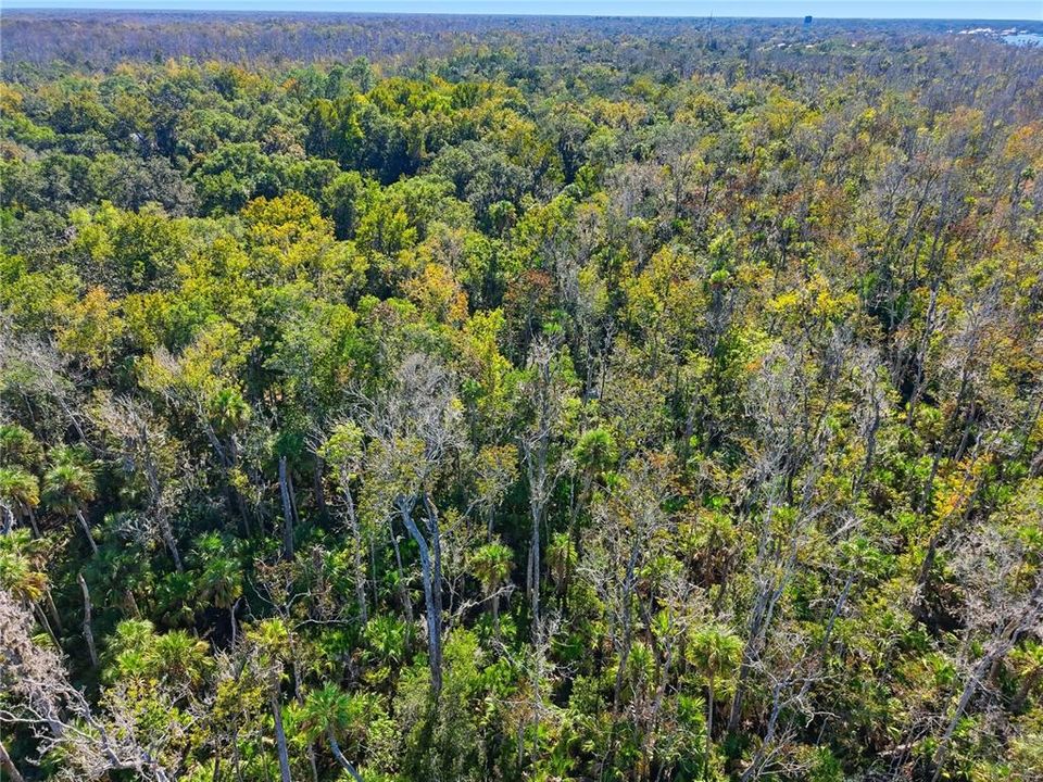 For Sale: $10,000 (0.37 acres)