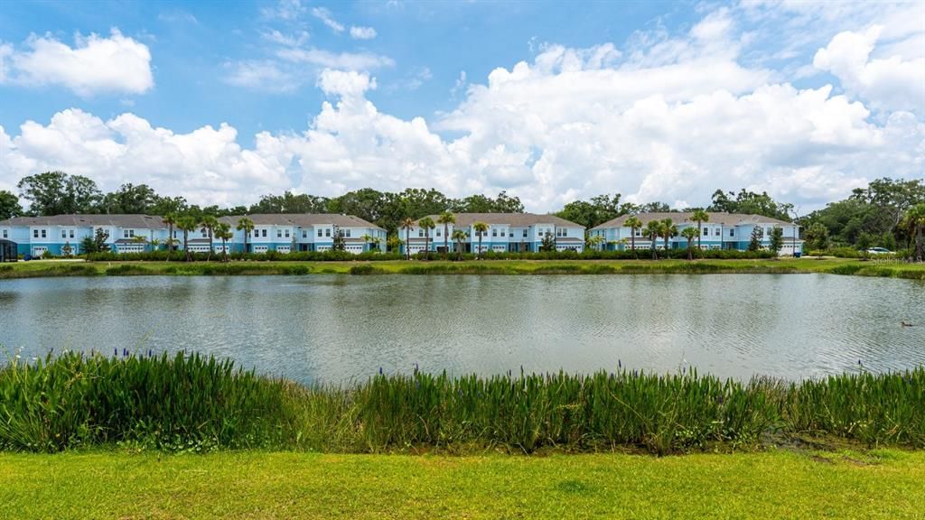 Active With Contract: $2,395 (3 beds, 2 baths, 1910 Square Feet)