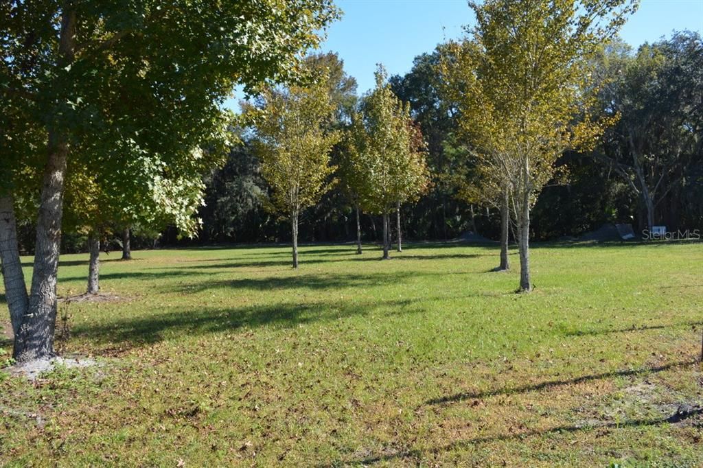 For Sale: $550,000 (3.99 acres)