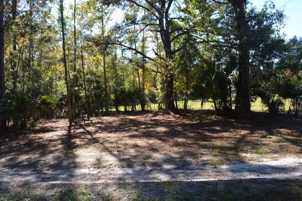 For Sale: $550,000 (3.99 acres)