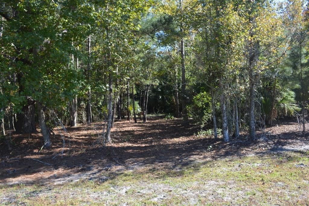 For Sale: $550,000 (3.99 acres)