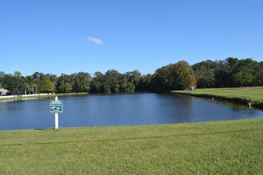 For Sale: $550,000 (3.99 acres)