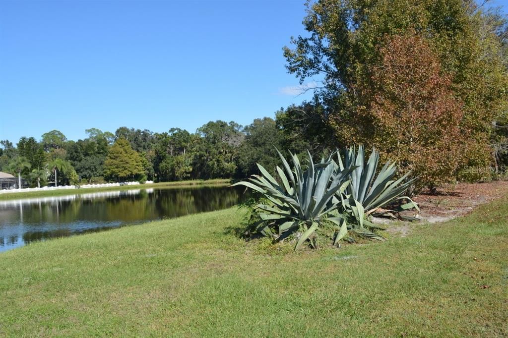 For Sale: $550,000 (3.99 acres)