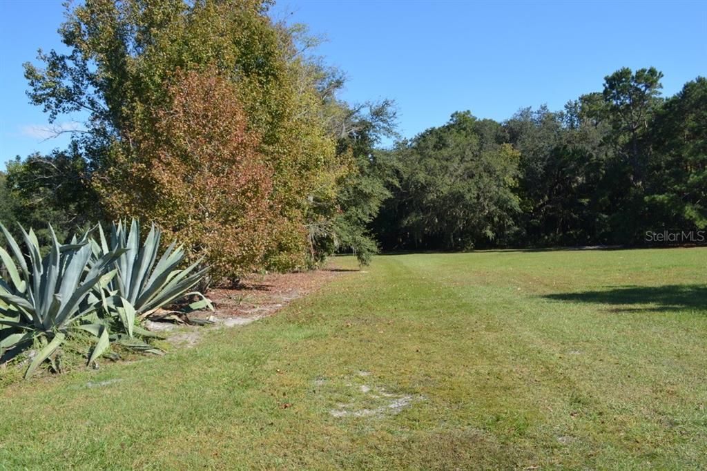 For Sale: $550,000 (3.99 acres)