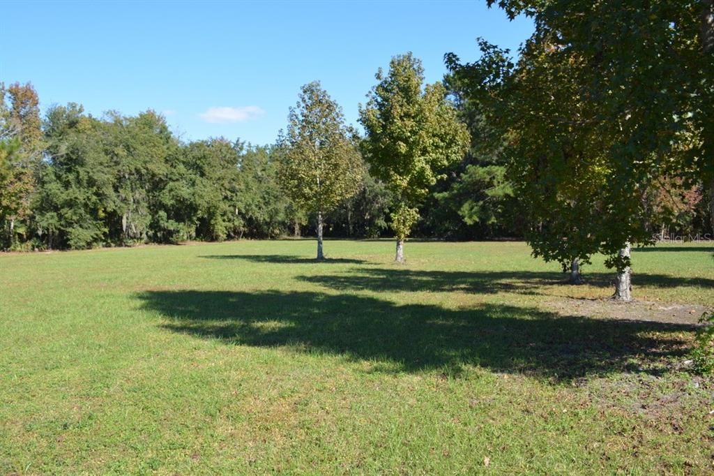 For Sale: $550,000 (3.99 acres)