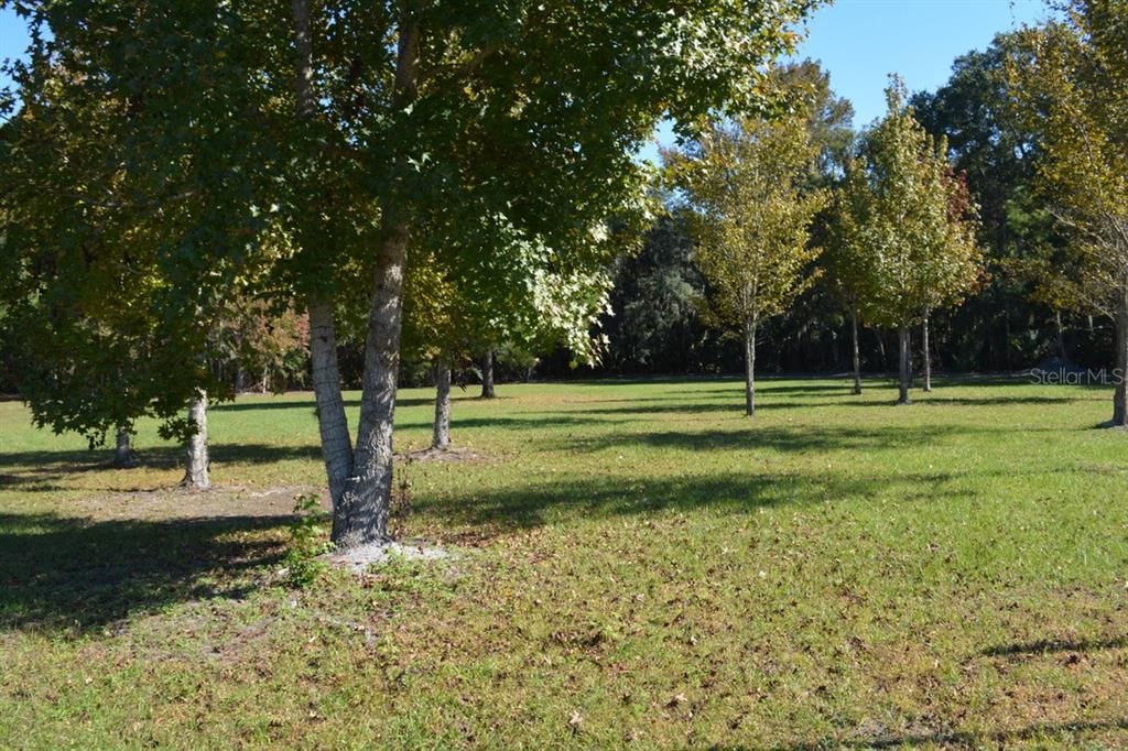 For Sale: $550,000 (3.99 acres)