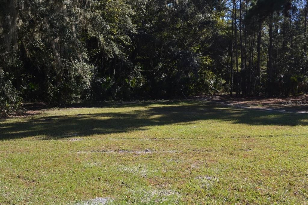 For Sale: $550,000 (3.99 acres)