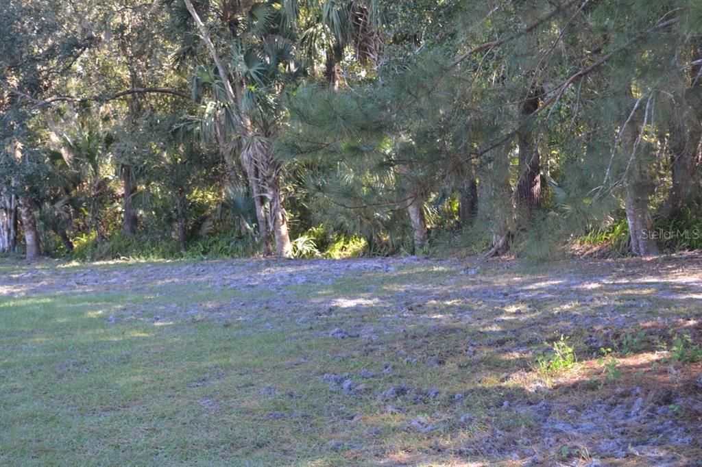 For Sale: $550,000 (3.99 acres)