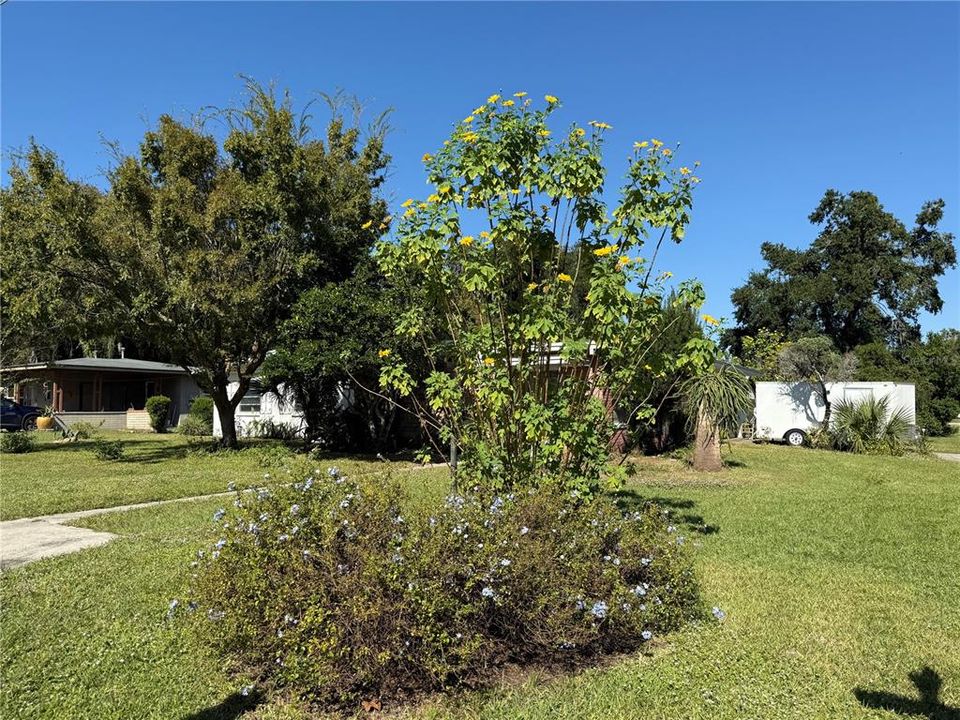 На продажу: $279,900 (3 спален, 2 ванн, 1584 Квадратных фут)