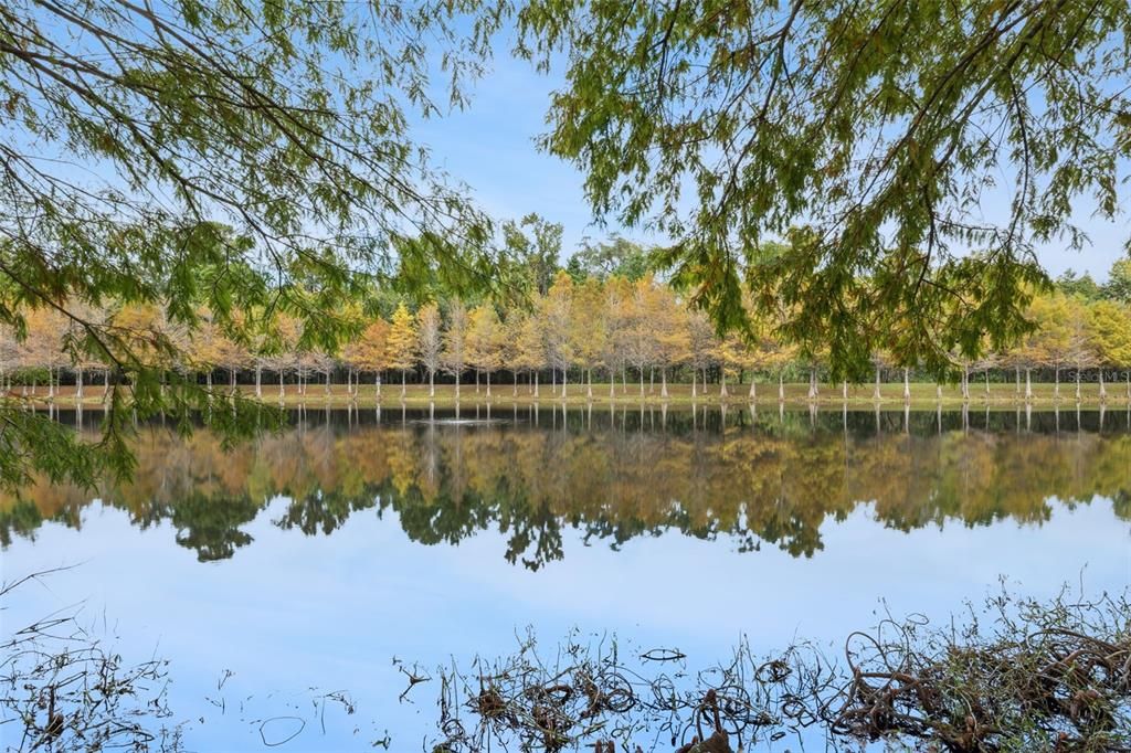 For Sale: $475,000 (3 beds, 2 baths, 2268 Square Feet)