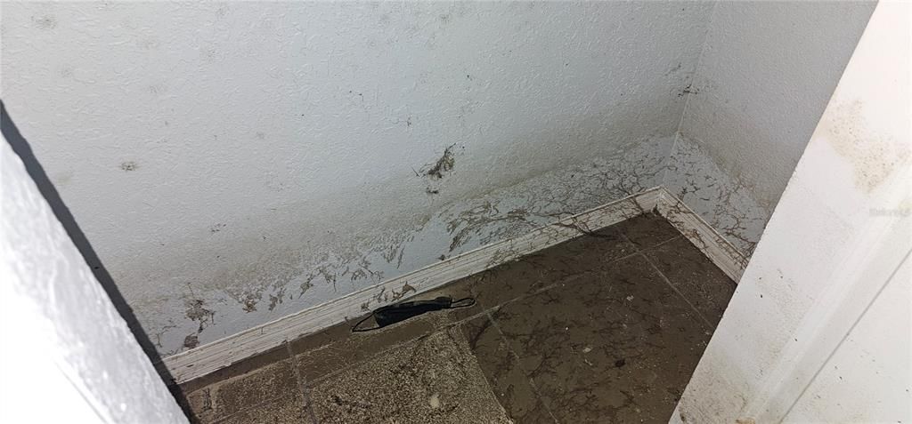 Под контрактом: $100,000 (3 спален, 3 ванн, 1284 Квадратных фут)