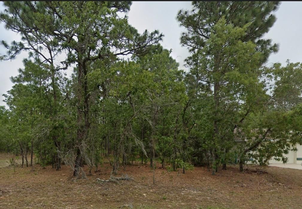 最近售出: $23,500 (0.23 acres)