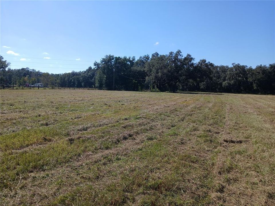 Active With Contract: $225,000 (4.90 acres)