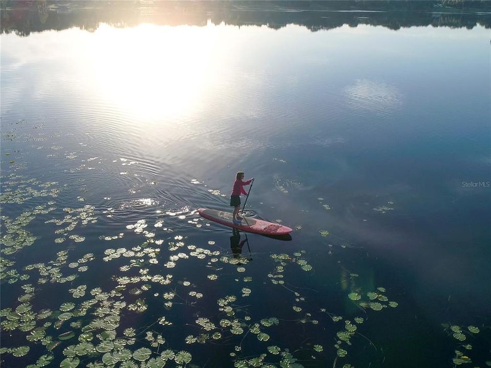 出租: $1,445 (2 贝兹, 1 浴室, 750 平方英尺)