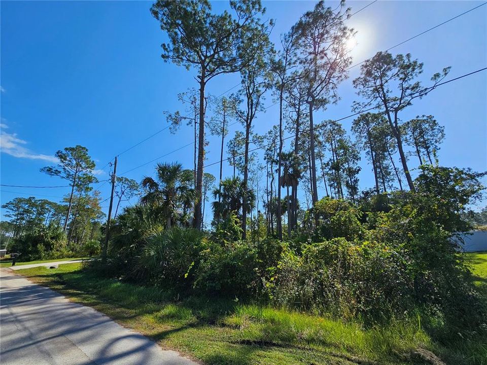 En Venta: $77,500 (0.23 acres)