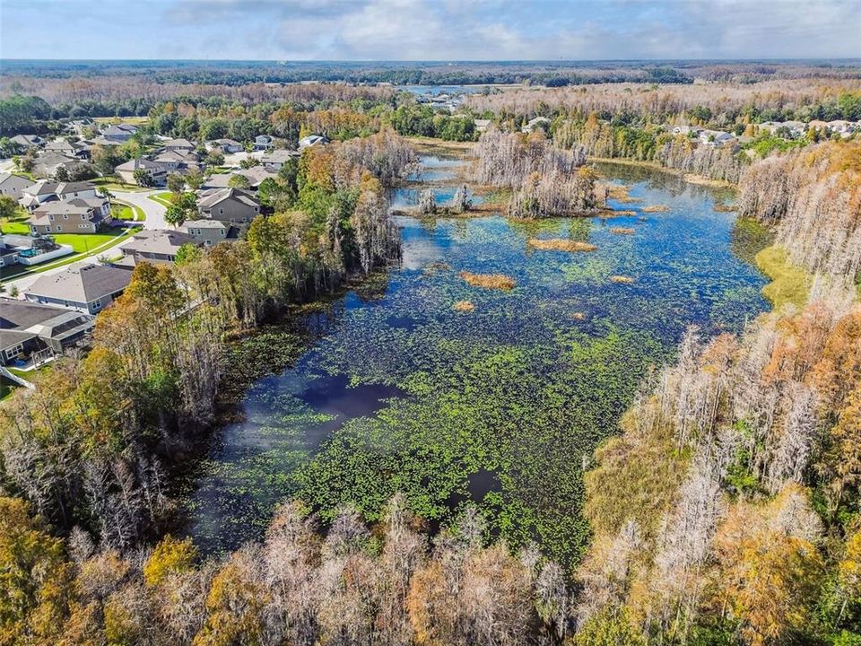 En Venta: $699,000 (4 camas, 3 baños, 3160 Pies cuadrados)