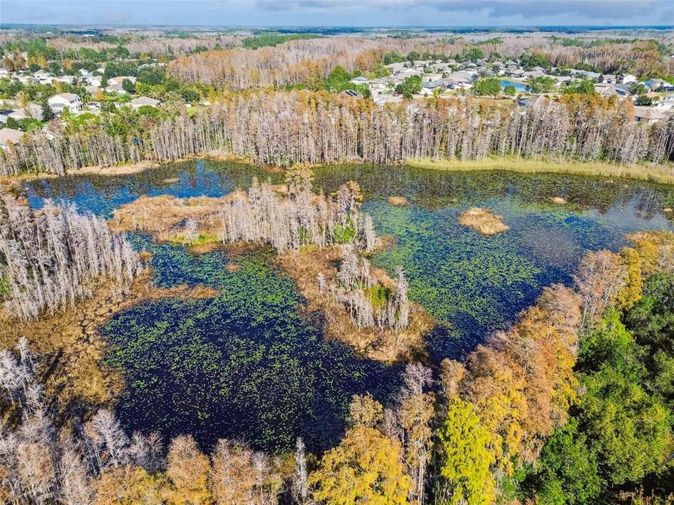 En Venta: $699,000 (4 camas, 3 baños, 3160 Pies cuadrados)