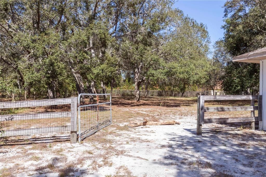 For Sale: $925,000 (5 beds, 3 baths, 4774 Square Feet)